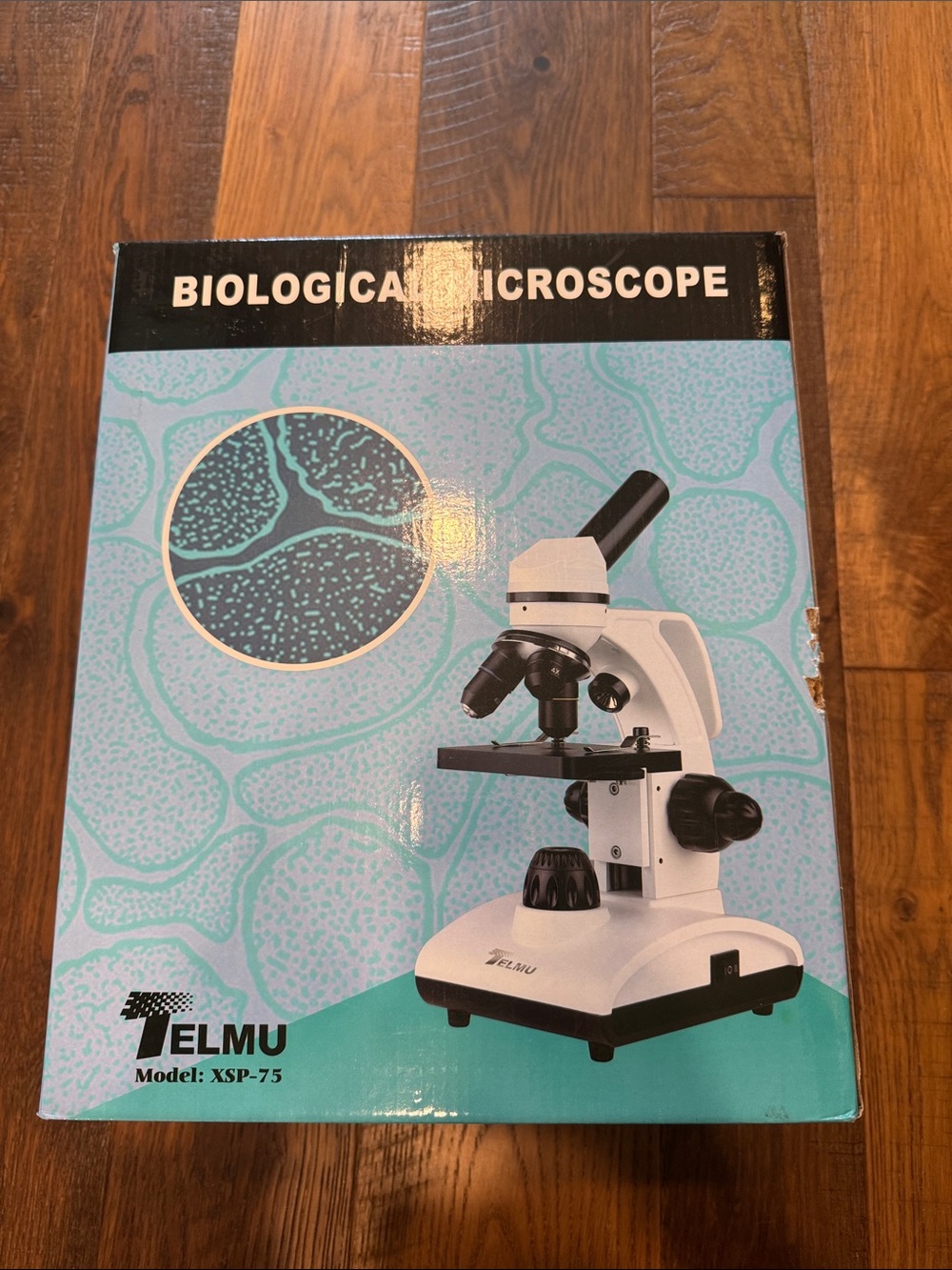 XSP-75 Student Biological Microscope